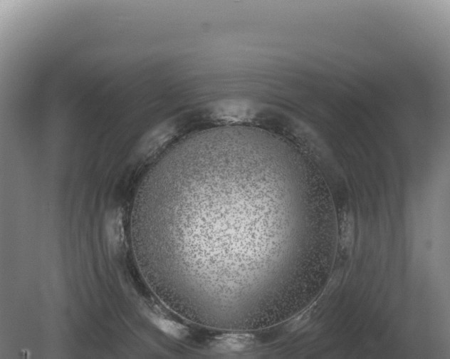 X0000080150128200612151840