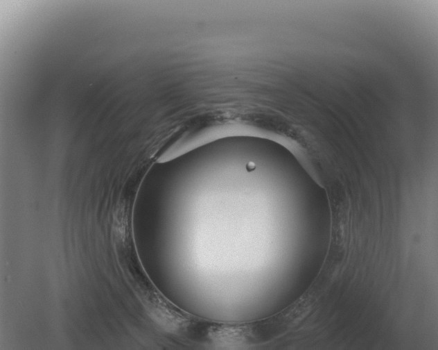 X0000080150129200612151840