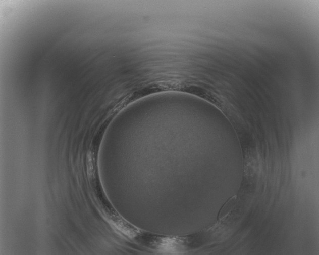 X0000080150130200612151840