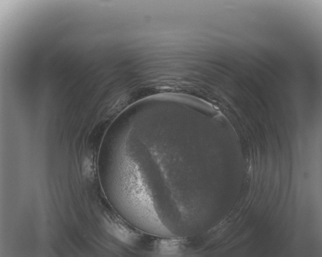 X0000080150134200612151840