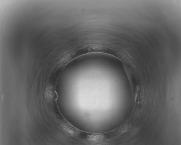 X0000080150135200612151840