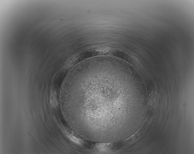 X0000080150136200612151840