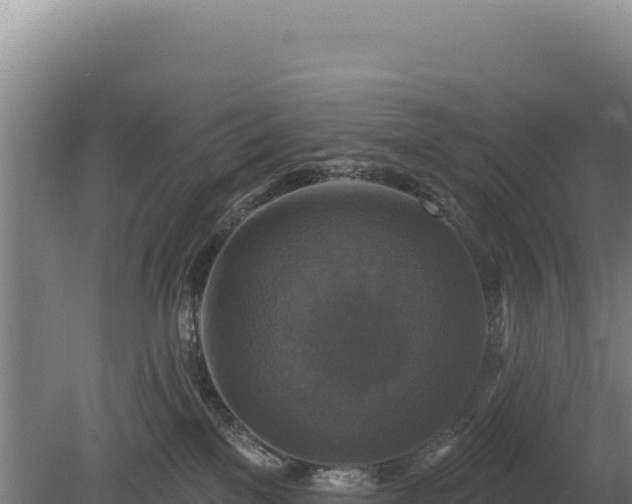 X0000080150137200612151840