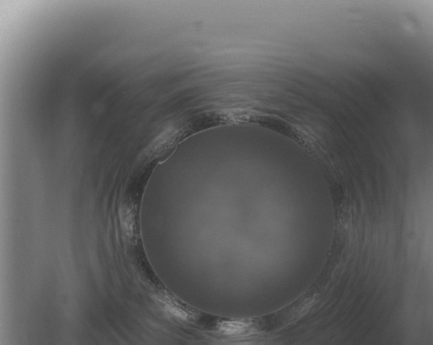 X0000080150139200612151840