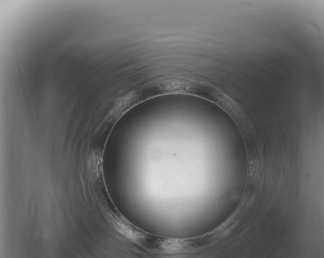 X0000080150142200612151840