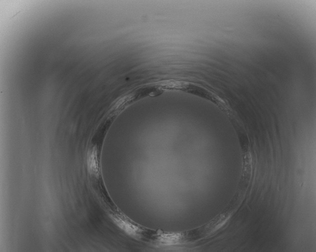 X0000080150143200612151840