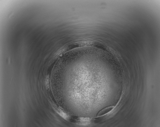 X0000080150144200612151840