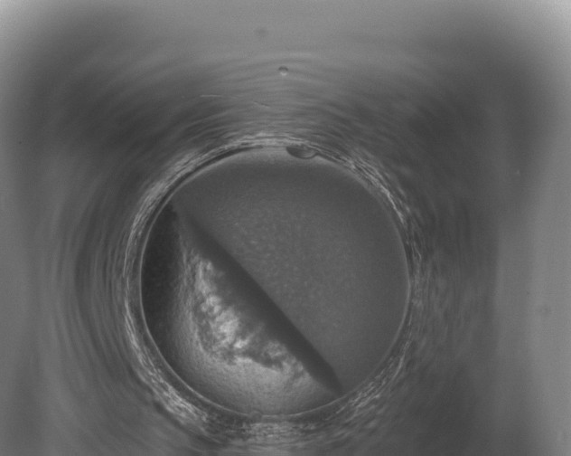 X0000080150145200612151839