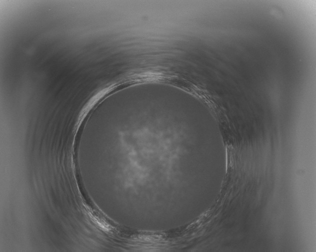 X0000080150147200612151839