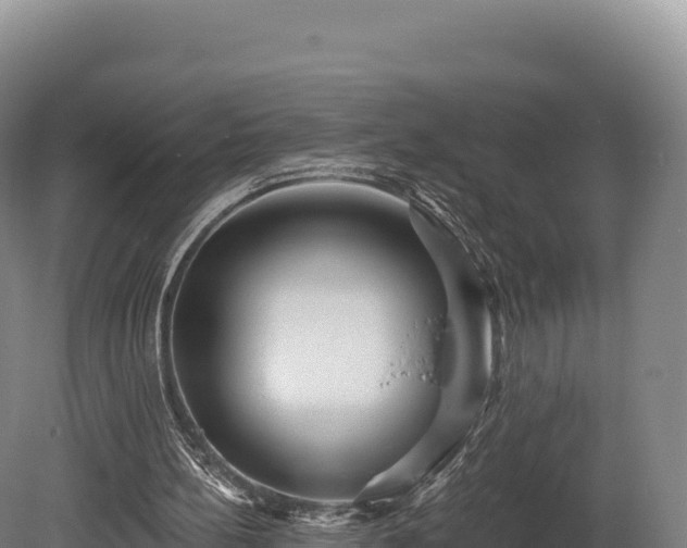 X0000080150148200612151839