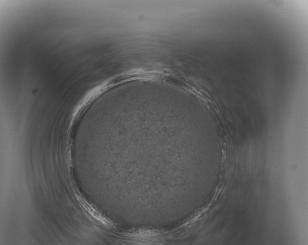 X0000080150149200612151839