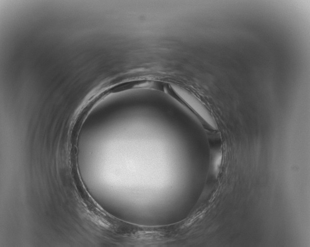 X0000080150150200612151839