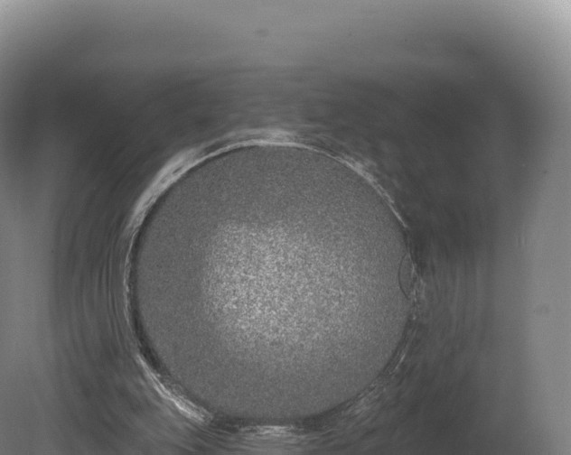 X0000080150151200612151839