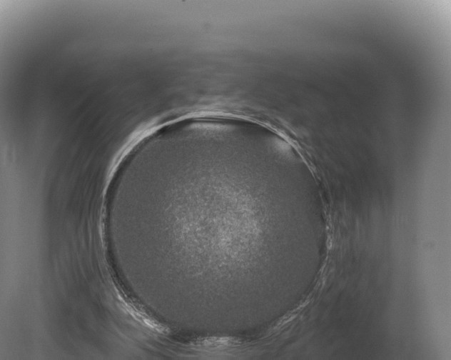 X0000080150152200612151839