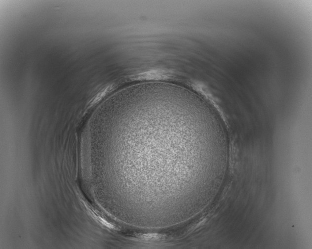 X0000080150153200612151839