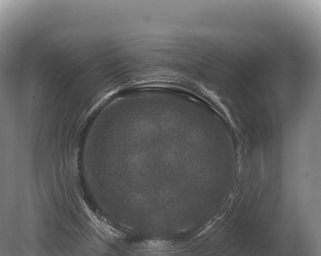 X0000080150154200612151839