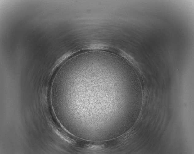 X0000080150155200612151839