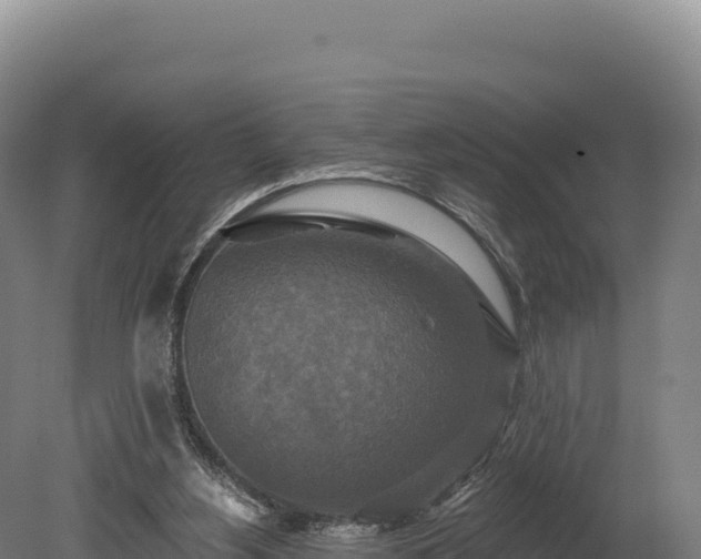 X0000080150156200612151839