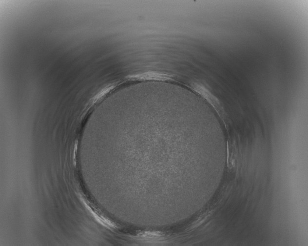 X0000080150157200612151839