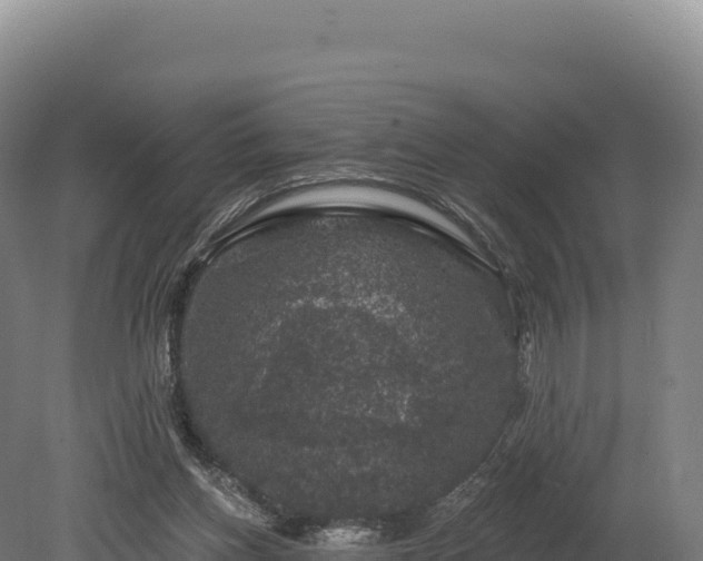 X0000080150158200612151839