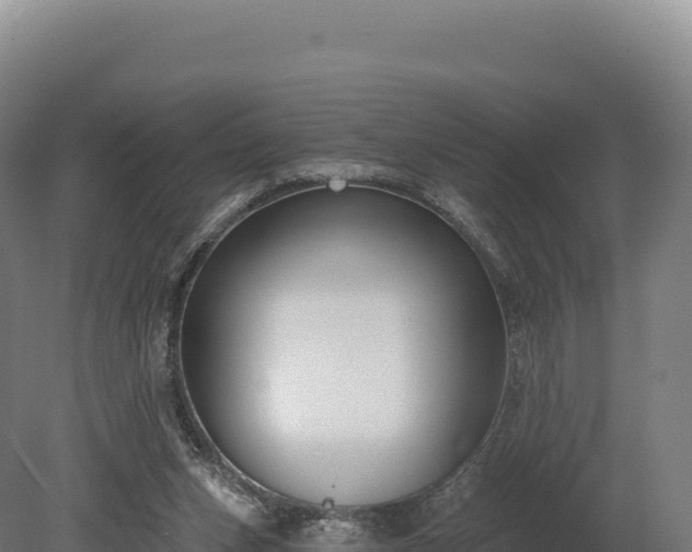 X0000080150159200612151839