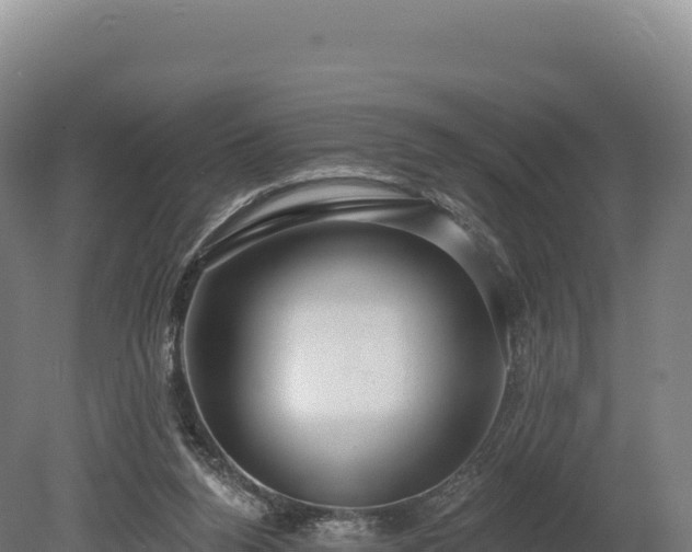 X0000080150160200612151839