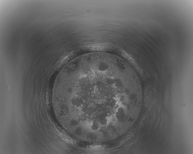 X0000080150161200612151839