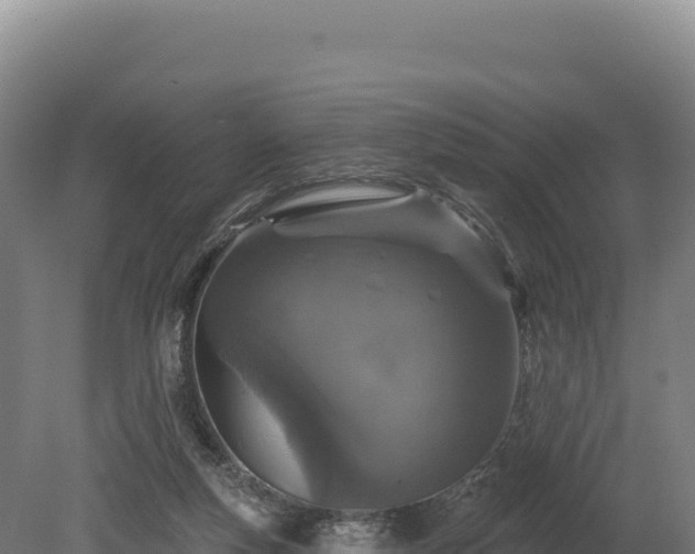 X0000080150163200612151839