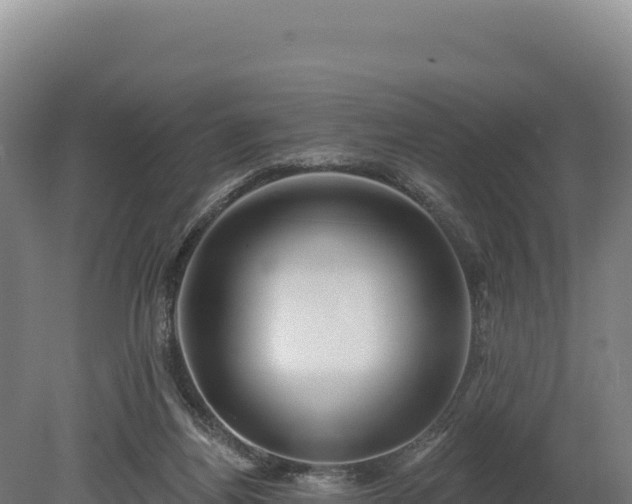 X0000080150164200612151839