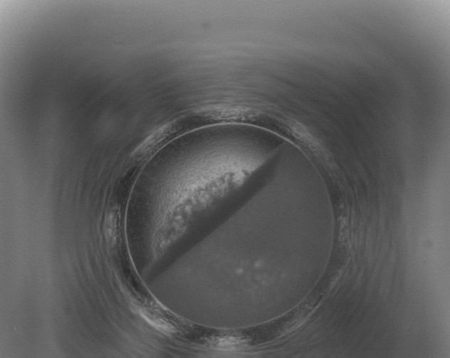 X0000080150165200612151839