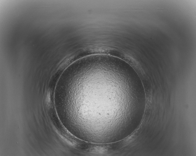 X0000080150166200612151839