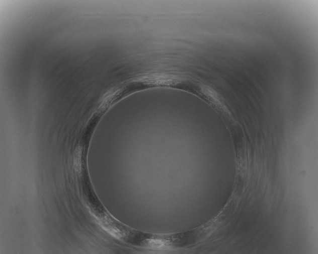 X0000080150167200612151839