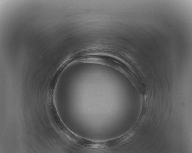 X0000080150168200612151839