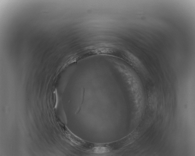 X0000080150169200612151839