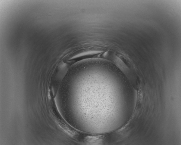 X0000080150170200612151839