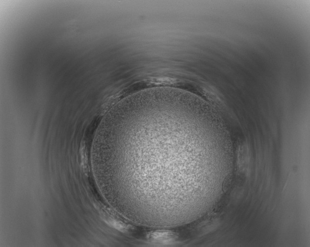 X0000080150173200612151839