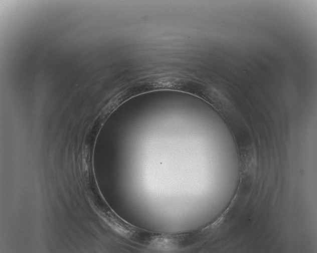 X0000080150174200612151839