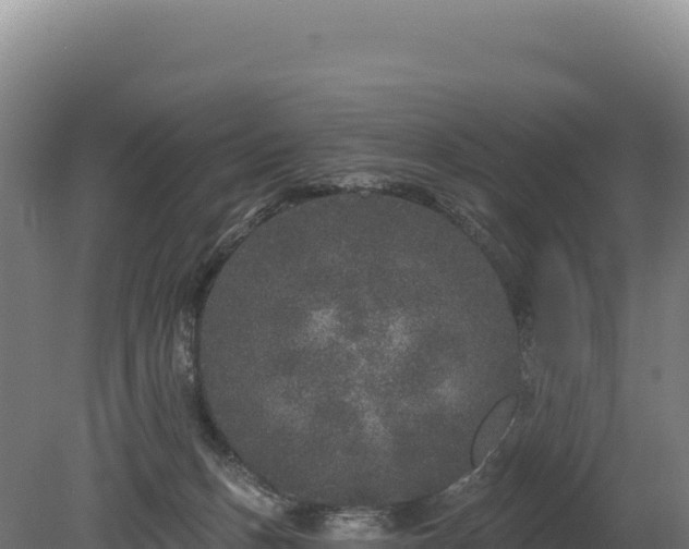 X0000080150175200612151839