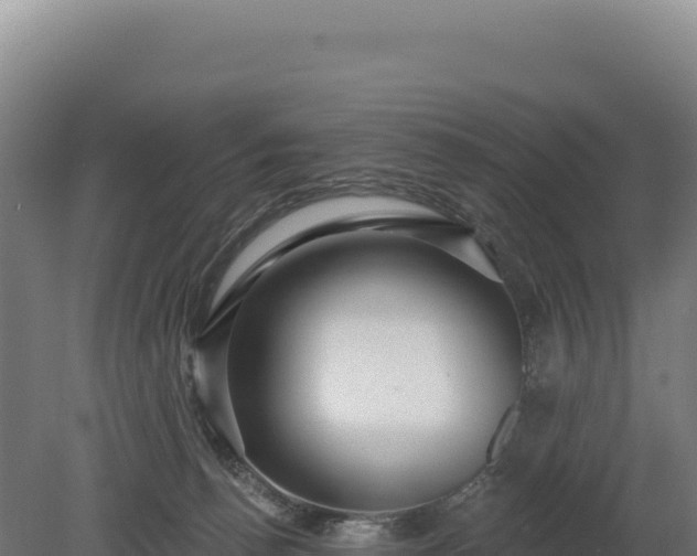 X0000080150176200612151839