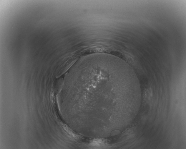 X0000080150177200612151839