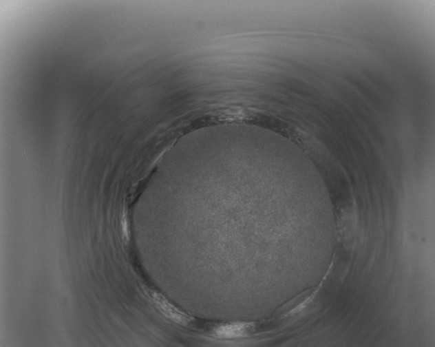 X0000080150178200612151839