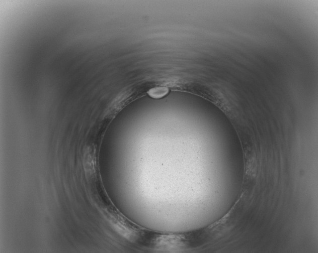 X0000080150179200612151839