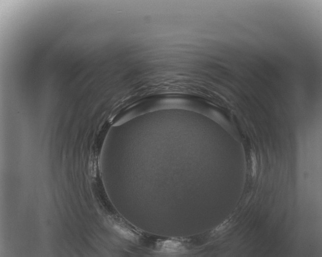 X0000080150180200612151839