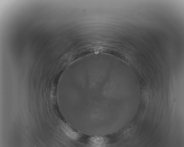 X0000080150181200612151839