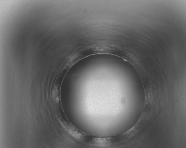 X0000080150187200612151840