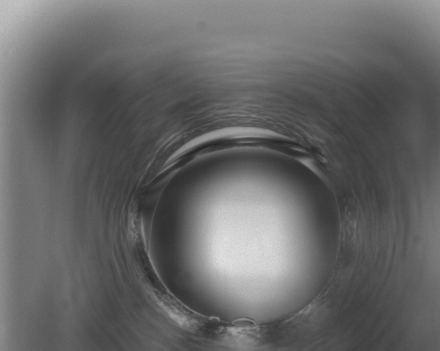 X0000080150188200612151840