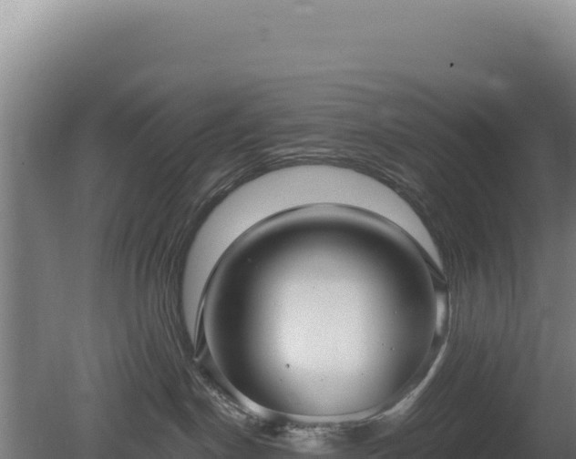 X0000080150190200612151840