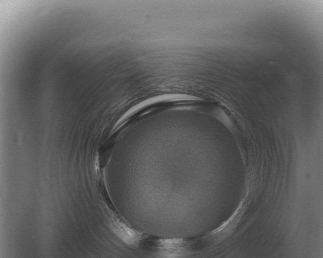 X0000080150192200612151840