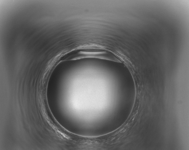 X0000080150193200612151839