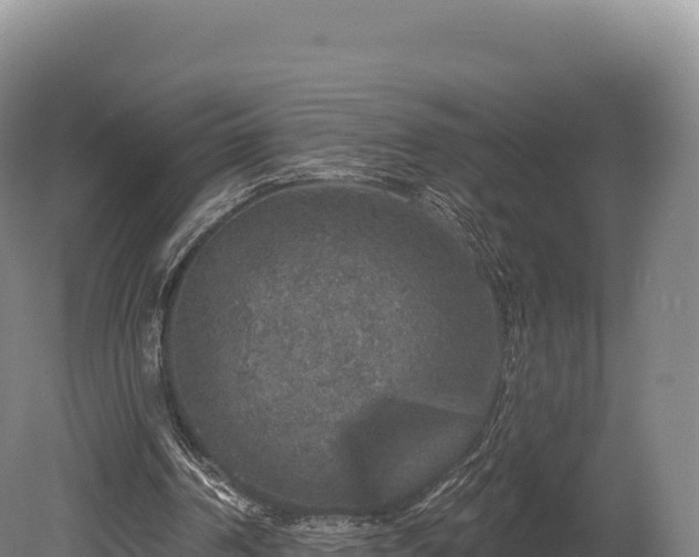 X0000080150194200612151839